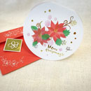 まめ玉カード クリスマスVer.「花咲くポインセチア」